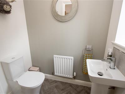 Picture 16